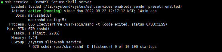 ssh_service_status