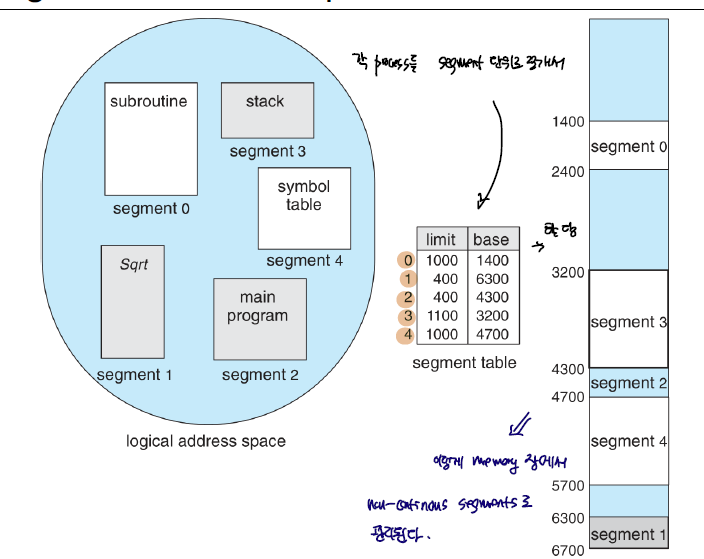 segmentation