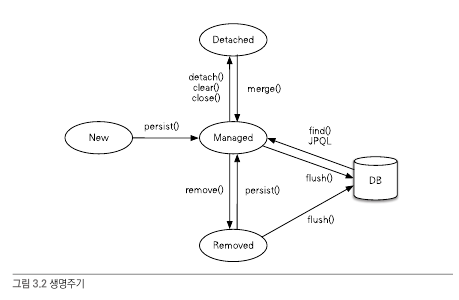 entity_lifecycle