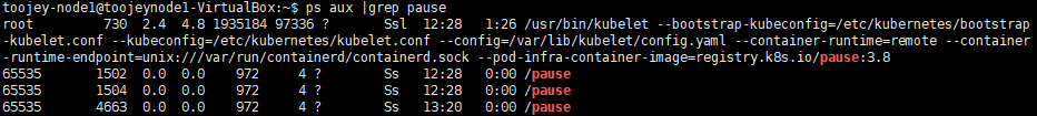 ps_aux_pause_container