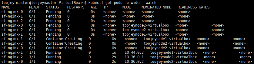 stateful_set_parallel